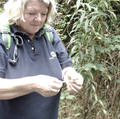 Referentin Rosi Moser, &copy; Ingris Wirtzfeld/Tourist-Information Islek