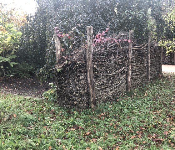 Benjeshecke, &copy; Eva Hofmann