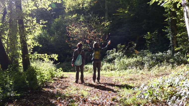 Zwei Personen stehen im Wald und werfen Herbstblätter in die Luft.