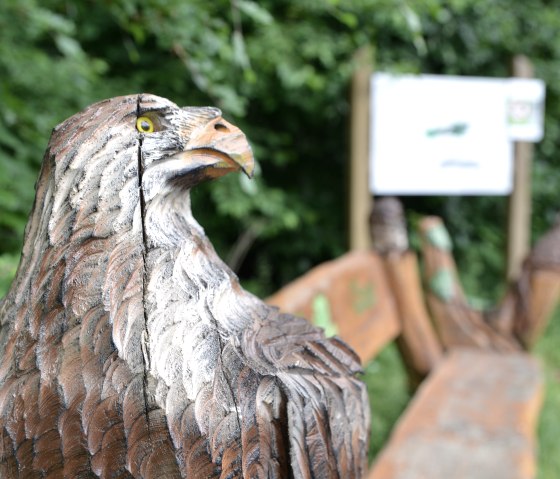 Holzskulptur eines Adlers im Vordergrund, umgeben von gr&uuml;ner Vegetation. Im Hintergrund ist eine Informationstafel zu sehen., &copy; TI Bitburger Land