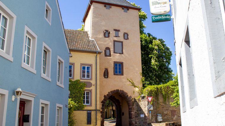 Eine historische Stadtmauer mit einem Turm und bunten Häusern. Der Eingang zeigt einladende Straßen und grünes Laub.