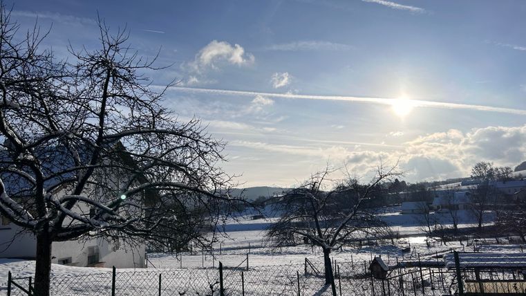 Eine verschneite Landschaft mit einem strahlenden Sonnenschein und blauem Himmel. Bäume und ein Zaun sind im Vordergrund zu sehen.