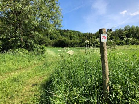 Signpost with the number 75 in the Southern Eifel Nature Park on a green meadow.