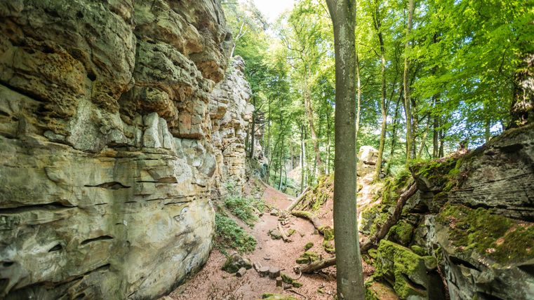 Ein schmaler Pfad zwischen hohen Felswänden und Bäumen im Wald.