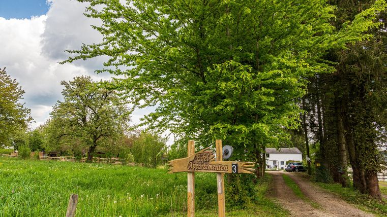 Ein ländlicher Weg, gesäumt von grünen Bäumen. Ein Holzschild weist auf ein Ziel hin.