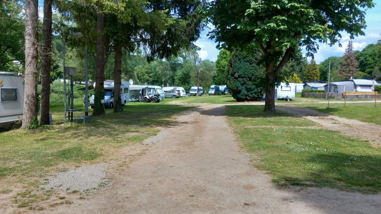 Een rustige campingweergave met caravans en bomen. De weg is omgeven door groen gras en loopt door de camping.