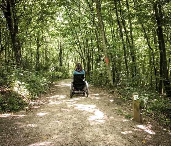 Eine Person im Rollstuhl f&auml;hrt auf einem sonnigen Waldweg im K&ouml;nigsw&auml;ldchen. Der Weg ist von gr&uuml;nen B&auml;umen ges&auml;umt., &copy; TI Bitburger Land