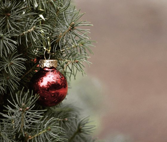 Weihnachtskugel, © Pixabay