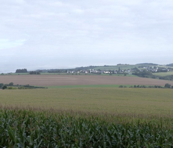 View of Dahnen, © Tourist-Information Islek