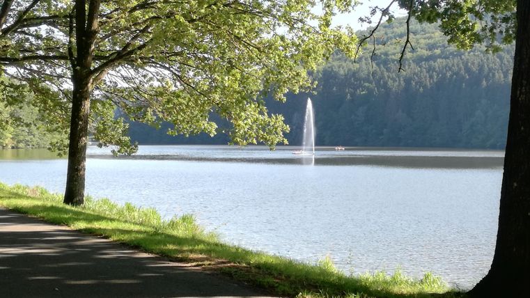 Ein ruhiger See umgeben von Bäumen. Im Hintergrund sprudelt ein Wasserfall.