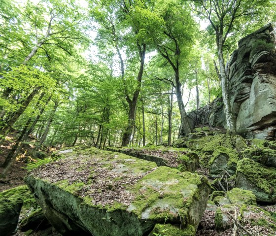Felsformation Predigtstuhl im NaturWanderPark delux, &copy; Eifel Tourismus GmbH, D. Ketz