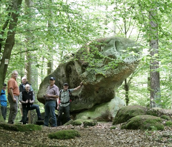 Eine Gruppe von Menschen steht vor einem gro&szlig;en, bemoosten Felsen im Wald, der wie ein B&auml;renkopf aussieht. Dichte B&auml;ume umgeben die Szene., &copy; Elke Wagner, Felsenland S&uuml;deifel Tourismus GmbH