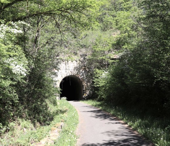 Tunnel Neuerburg, &copy; Enz-Radweg