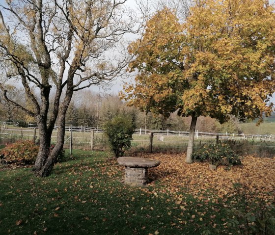 Bl&auml;ttermeer, &copy; Maria Theis