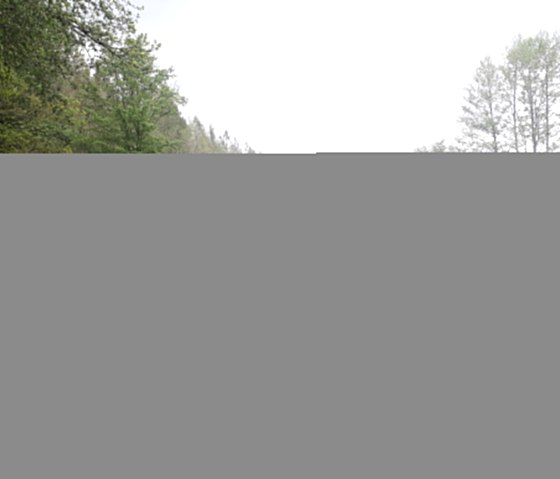 Ein idyllisches T&auml;lchen f&uuml;hrt wieder zur&uuml;ck nach Gentingen., &copy; Felsenland S&uuml;deifel Tourismus, Natalie Mainz