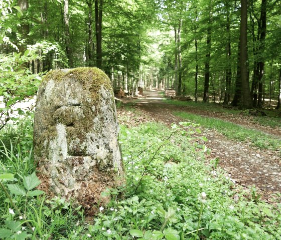Ein moosbedeckter Grenzstein im Wald, umgeben von gr&uuml;ner Vegetation und einem Waldweg., &copy; Elke Wagner, Felsenland S&uuml;deifel Tourismus GmbH