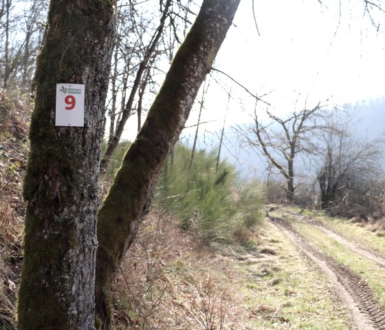Hiking trail no. 9 in the Our valley, © Tourist-Information Islek