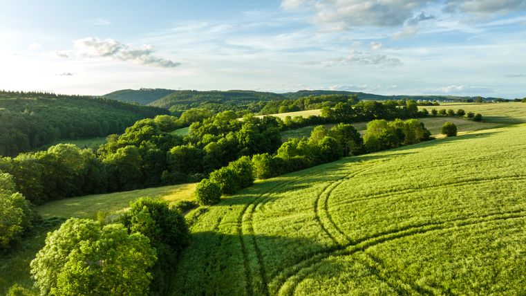 Landschaft mit grünen Feldern und Wäldern unter blauem Himmel mit Wolken.