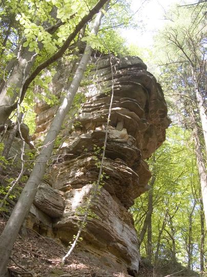 Un rocher pittoresque dans une forêt dense. Les arbres autour sont verts et donnent à la scène une atmosphère calme.