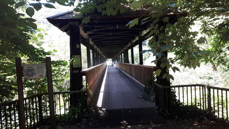 Un long chemin en bois traverse une zone boisée. Le feuillage encadre le chemin et crée une atmosphère naturelle.