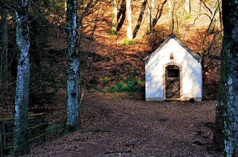 Eine kleine weiße Kapelle im Wald, umgeben von Bäumen und Laub am Boden.