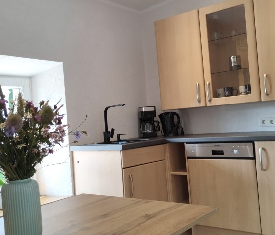 FeWo H&uuml;hn K&uuml;che(c)TIBitMeS (6)