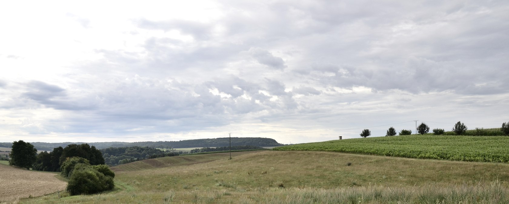 Weite Wiesenlandschaft im Naturpark Südeifel, mit sanften Hügeln und Feldern unter einem bewölkten Himmel., © TI Bitburger Land