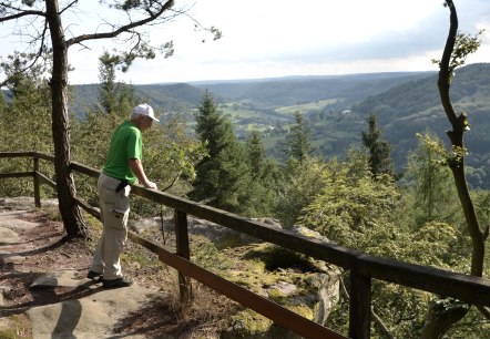 Ein Mann in gr&uuml;ner Kleidung steht an einem Gel&auml;nder und blickt auf eine bewaldete Landschaft mit H&uuml;geln und T&auml;lern., &copy; Lauschtour.de