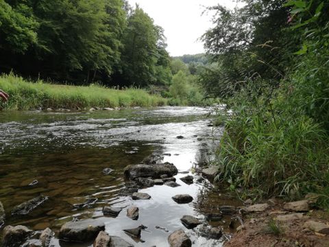 A calm river flows through a green landscape. Stones and tall grass can be seen at the riverbank.