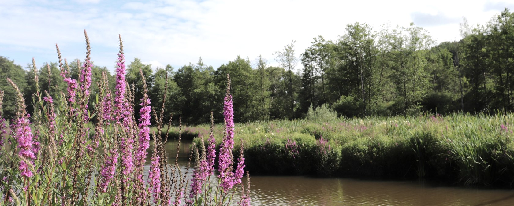Stausee Irsental, &copy; Tourist-Information Islek