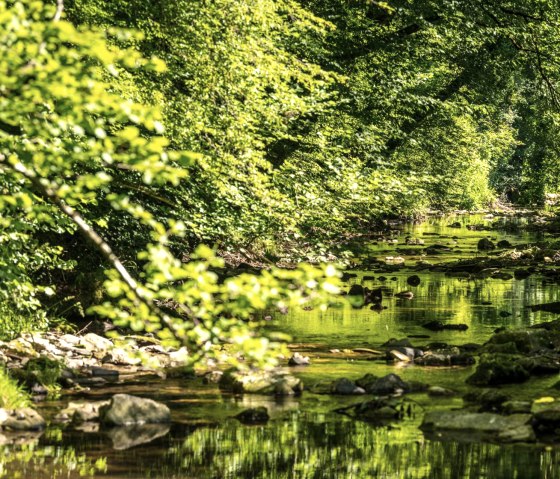 Idyllisches Enztal auf dem Schluchtenpfad, &copy; Eifel Tourismus GmbH, D. Ketz