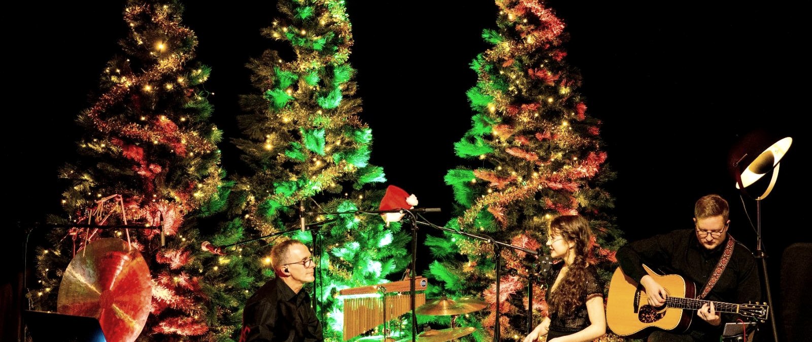 Wohnzimmerkonzert, © Rainer Tures Band