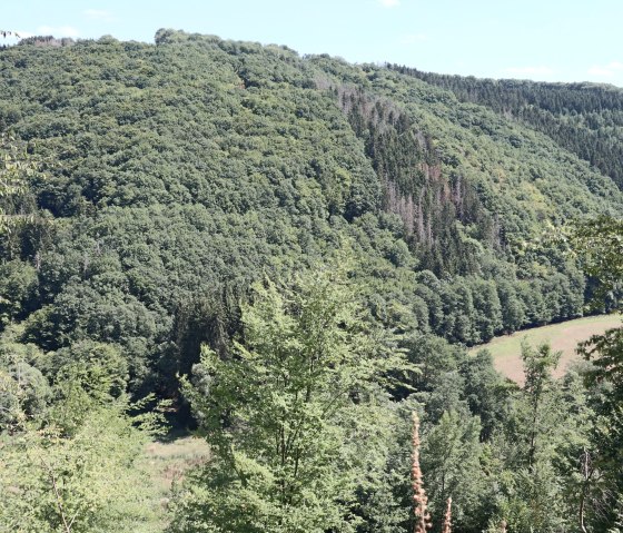 View over the Irsental valley, © Tourist-Information Islek