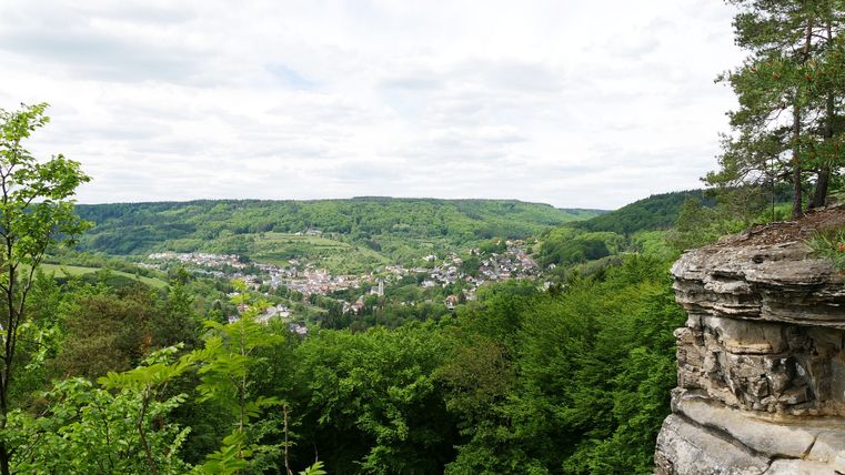 Aussicht auf Bollendorf von einem Aussichtspunkt mit Felsen und Bäumen im Vordergrund.