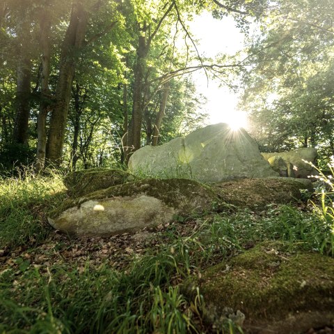 Mystical atmosphere at the stone box grave, © Eifel Tourismus GmbH, D. Ketz