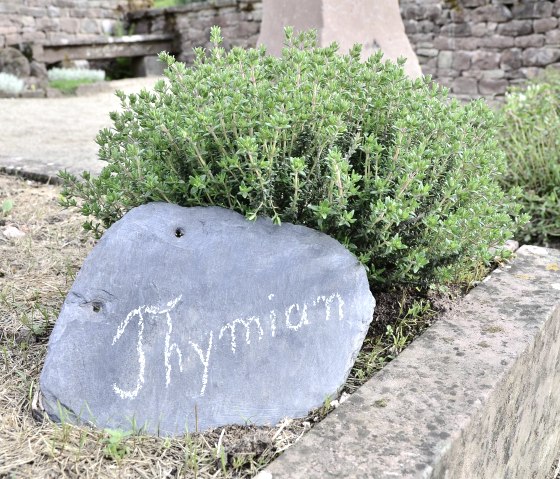 Kr&auml;utergarten Schloss Malberg, &copy; TI Bitburger Land