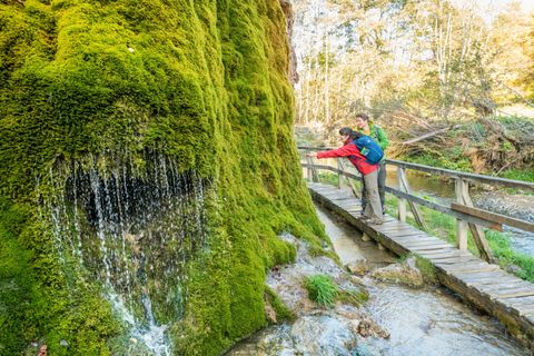 Ein Wanderer steht auf einem Holzsteg neben einer moosbedeckten Felswand mit fließendem Wasser. Im Hintergrund sieht man einen Wald mit sanftem Licht.