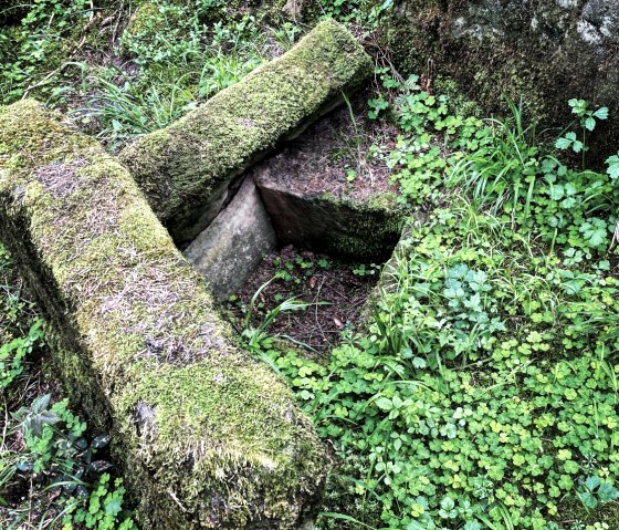Moosbewachsene Steine auf einem r&ouml;mischen Gr&auml;berfeld, umgeben von &uuml;ppiger gr&uuml;ner Vegetation und kleinen Pflanzen., &copy; Felsenland S&uuml;deifel Tourismus, Anna Carina Krebs