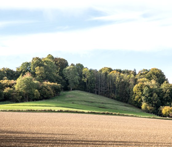 Grüne Hügel und Bäume im Bitburger LandGang, Oberweis, unter blauem Himmel mit weißen Wolken., © TI Bitburger Land
