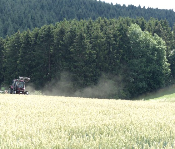 Hay harvest near Pl&uuml;tscheid, &copy; Tourist-Info Islek