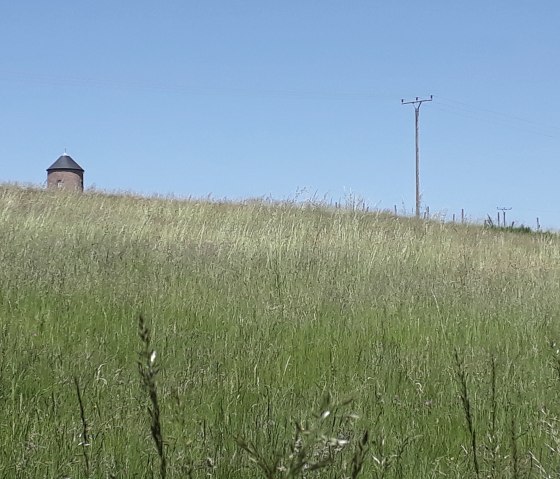 The water tower in Utscheid-Buscht, &copy; Felsenland S&uuml;deifel Tourismus, Natalie Mainz