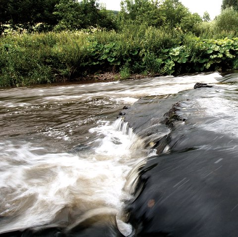 Ein kleiner Wasserfall in einem Fluss, umgeben von dichter Vegetation und B&auml;umen am Ufer., &copy; Naturpark S&uuml;deifel, R. Clement