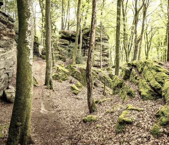Grüne Hölle, © Eifel Tourismus GmbH, D. Ketz