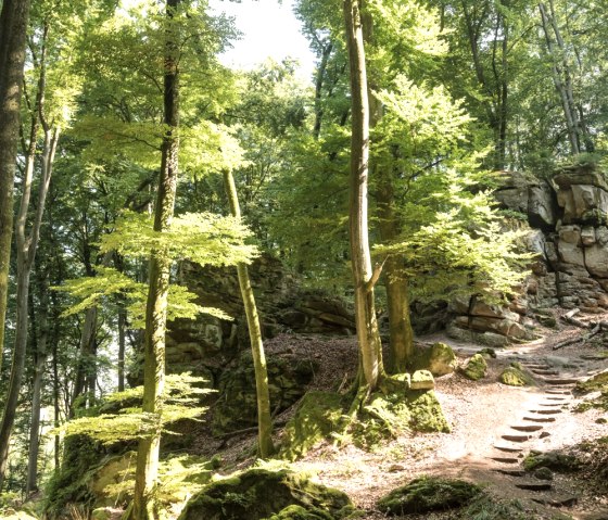 Felsenlandschaft rund um die Teufelsschlucht, &copy; Rheinland-Pfalz Tourismus GmbH, D. Ketz