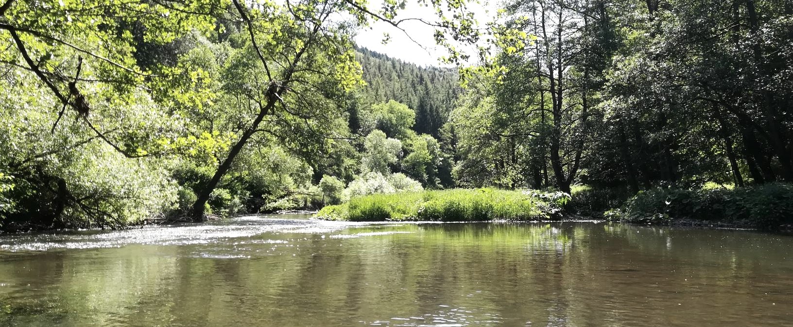 Kyll bei Flie&szlig;em, &copy; Marc Leinen