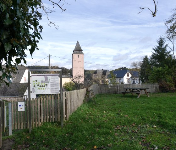 Ostbaumlehrpfad in Kyllburg, © TI Bitburger Land