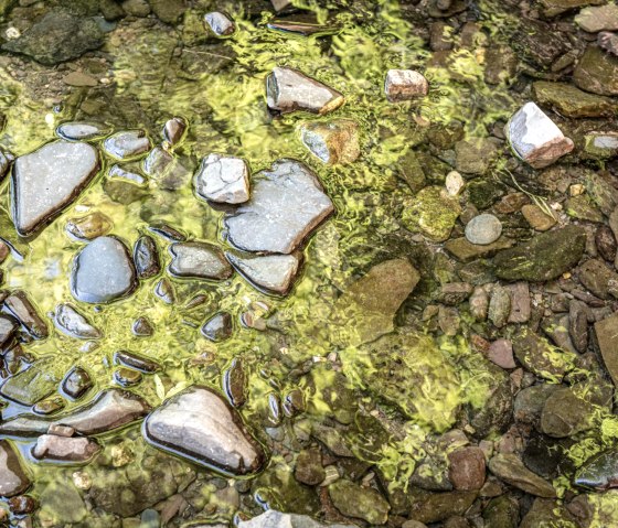 Water reflection at the Roter Puhl on the gorge trail, &copy; Eifel Tourismus GmbH, D. Ketz