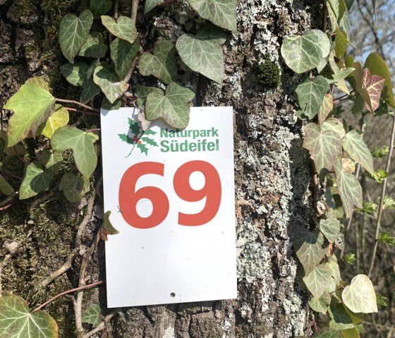 Ralingen 69, &copy; Nicole Zimmer