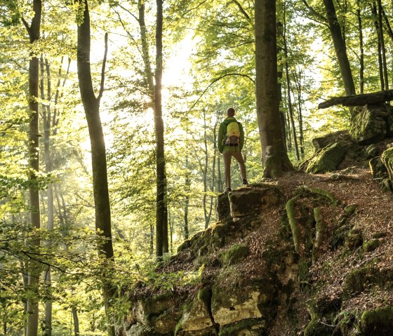 A hiker stands on a rock in the forest, surrounded by trees and sunlight shining through the canopy., © Eifel Tourismus GmbH, Dominik Ketz