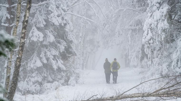 Zwei Personen gehen auf einem verschneiten Weg durch einen nebligen Wald. Die Bäume sind mit Schnee bedeckt und die Sicht ist eingeschränkt.